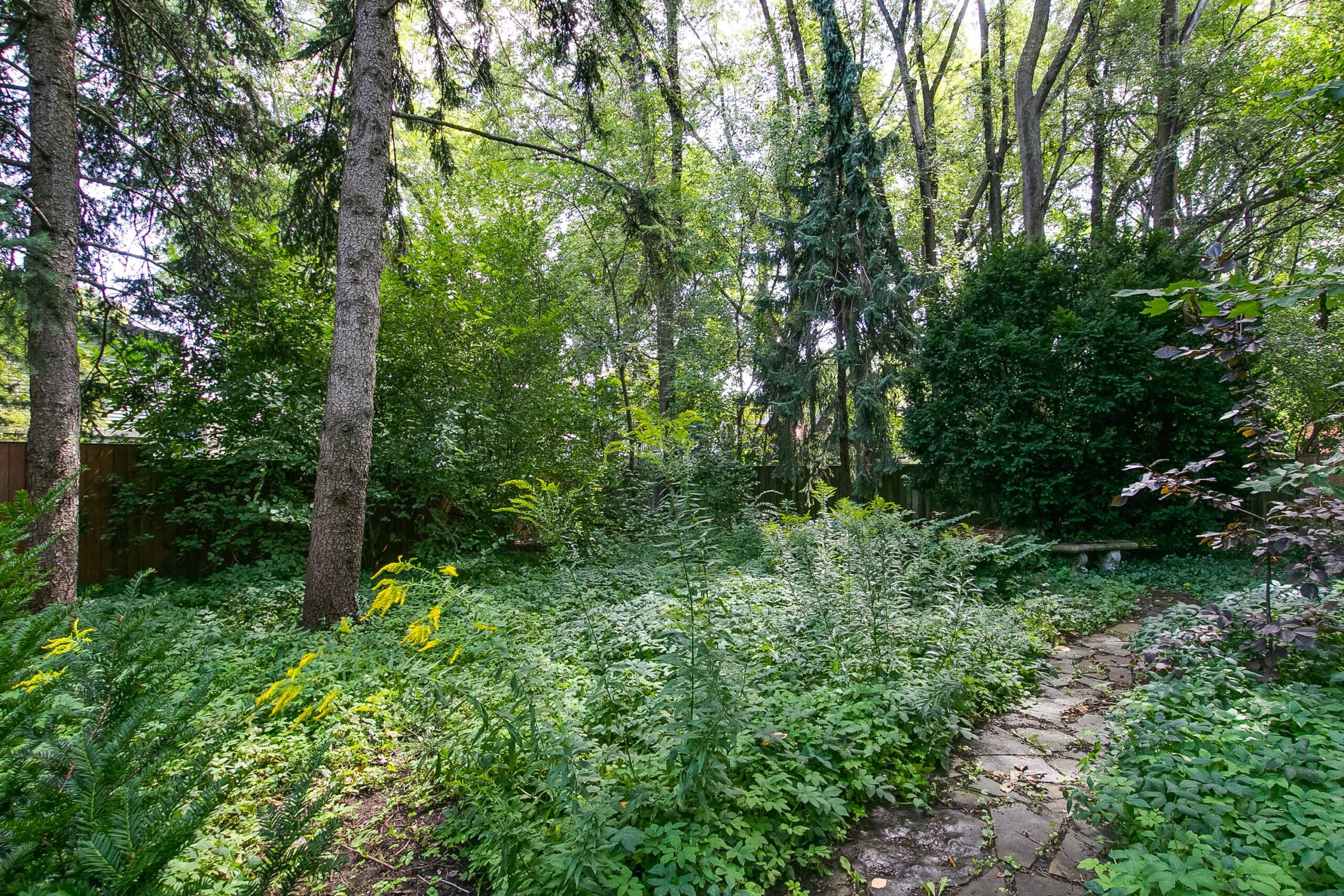 139-print-74_006_Backyard