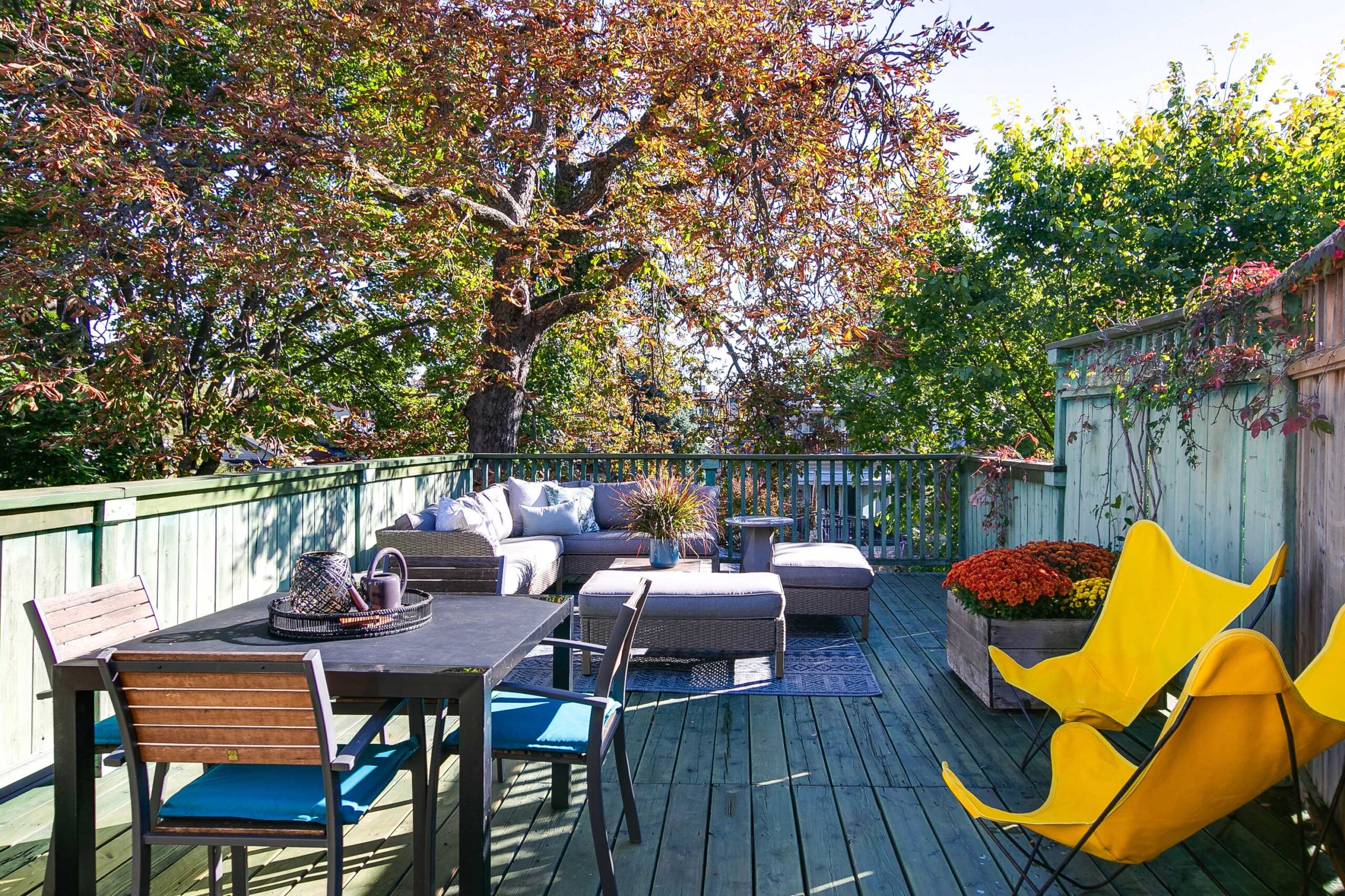 85-print-78_RoofTop_1