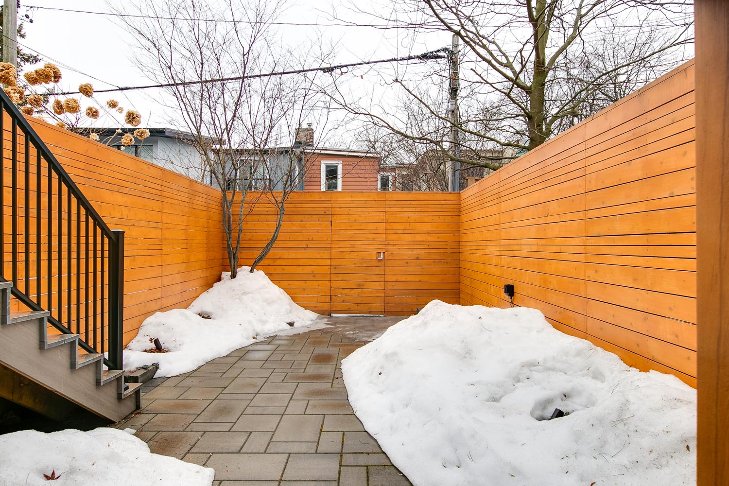 56-print-74_003_Backyard