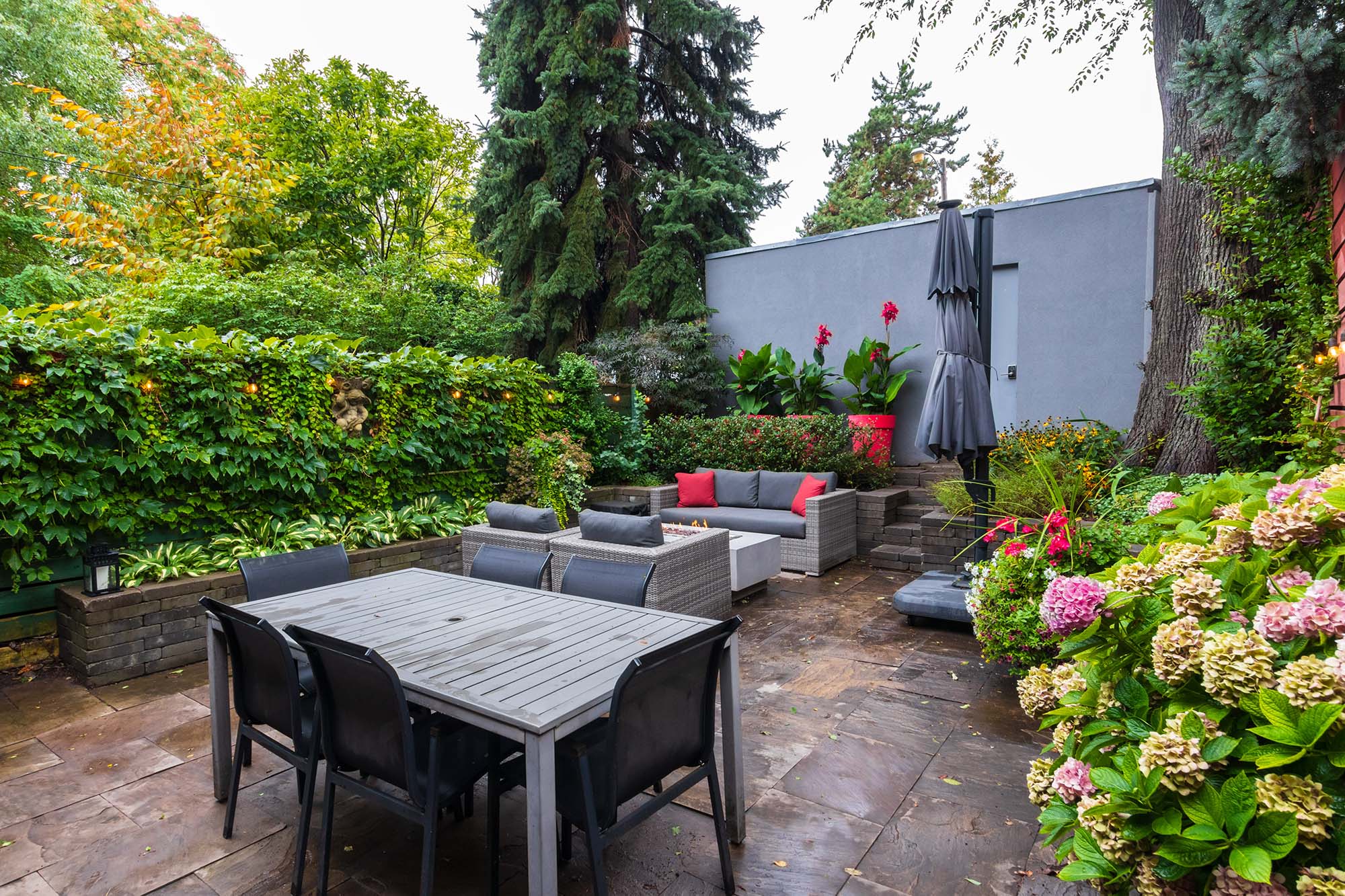 N 67-print-74_002_Backyard copy