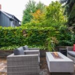 N 72-print-74_007_Backyard copy