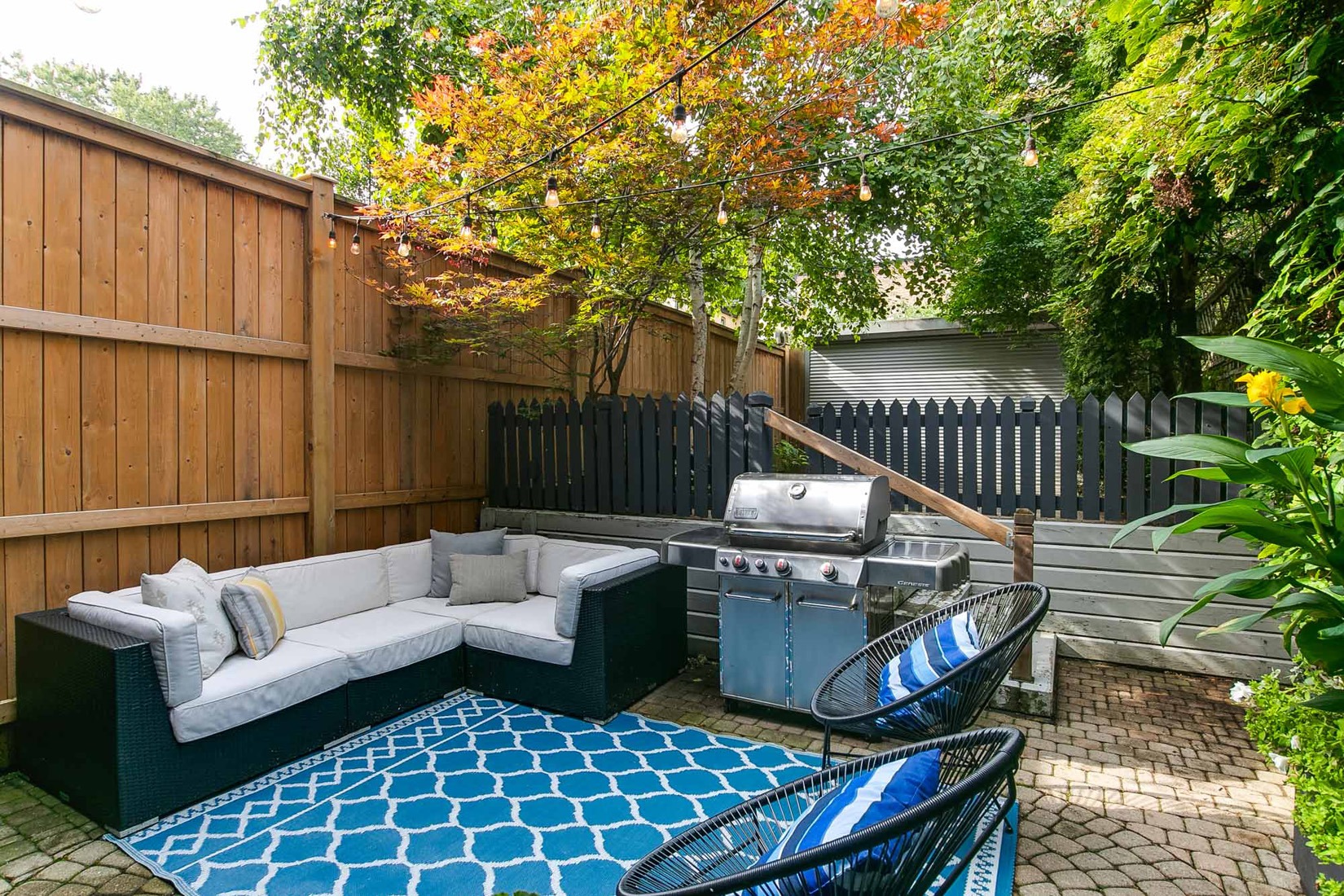 74_003_Backyard