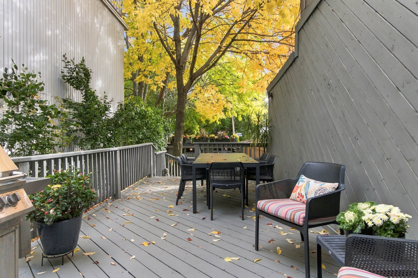 74_001_Backyard